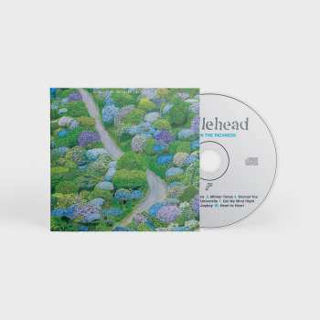 CD Fiddlehead: Between the Richness 291227