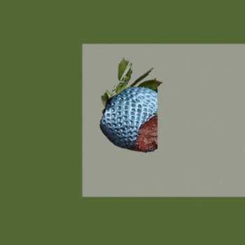 CD Bichkraft: Mascot