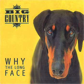 4CD/Box Set Big Country: Why The Long Face DLX 242319