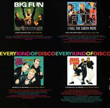 CD Big Fun: A Pocketful Of Dreams 295023