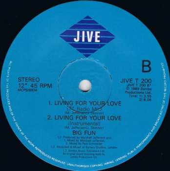 LP Big Fun: Living For Your Love 533055