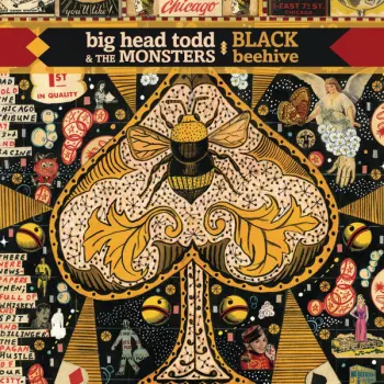Big Head Todd and the Monsters: Black Beehive