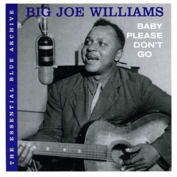 Album Big Joe Williams: Baby Please Don't Go