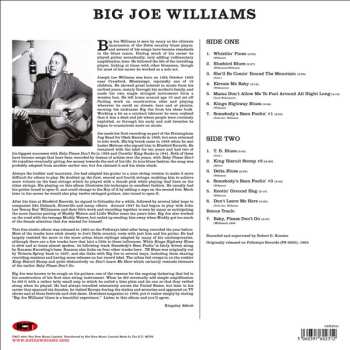 LP Big Joe Williams: Big Joe Williams And His Nine String Guitar 452559