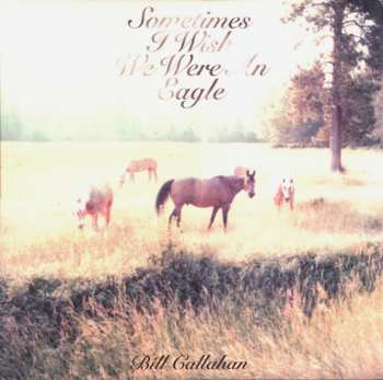 Album Bill Callahan: Sometimes I Wish We Were An Eagle