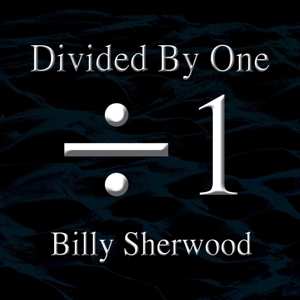 Album Billy Sherwood: Divided By One