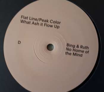 2LP Bing And Ruth: No Home Of The Mind 466469