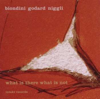 Luciano Biondini: What Is There What Is Not