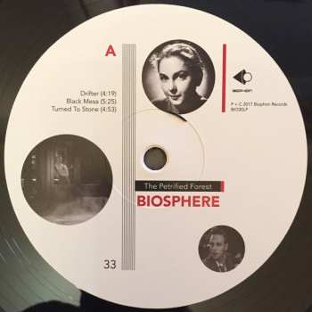LP Biosphere: The Petrified Forest 151273