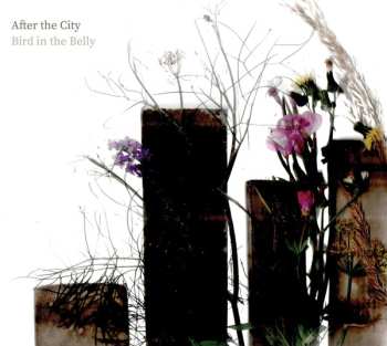 Album Bird In The Belly: After The City