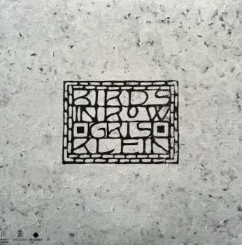 LP Birds In Row: Gris Klein LTD | CLR 406537