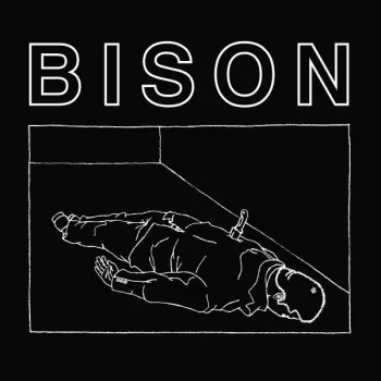 Bison B.C.: One Thousand Needles