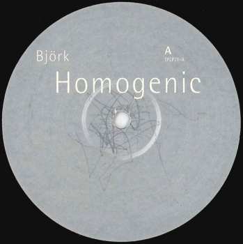 LP Björk: Homogenic 16415