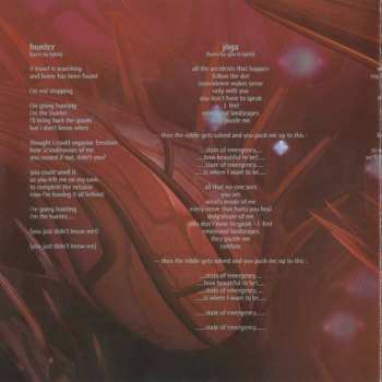 CD Björk: Homogenic 16414