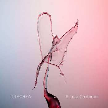 Album Bjørn Kåre Odde: Schola Cantorum - Trachea