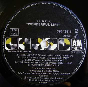 LP Black: Wonderful Life 543114