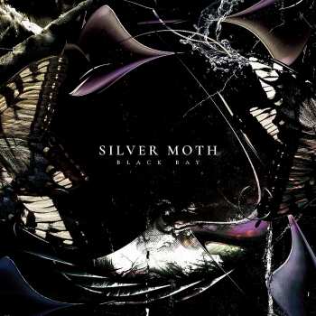 LP Silver Moth: Black Bay 404998