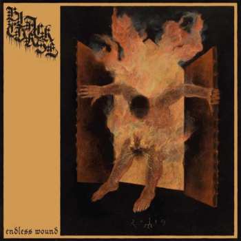 LP Black Curse: Endless Wound (black Vinyl) 524082