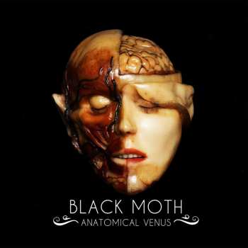 LP Black Moth: Anatomical Venus 521348