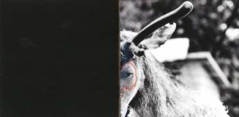 CD Black Moth Super Rainbow: Eating Us