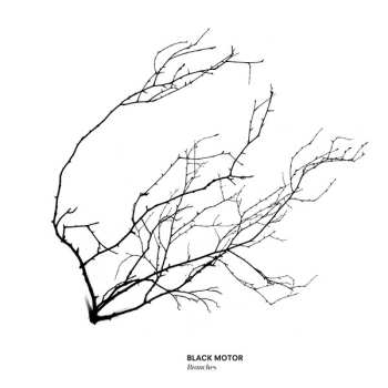 Album Black Motor: Branches