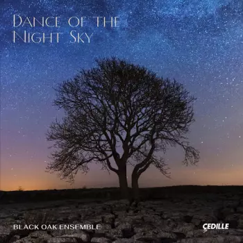 Dance Of The Night Sky