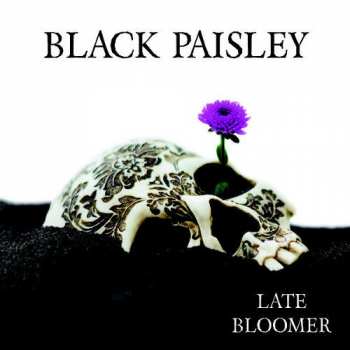 CD Black Paisley: Late Bloomer 266144