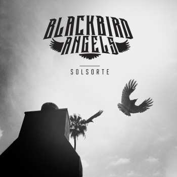 Album Blackbird Angels: Solsorte