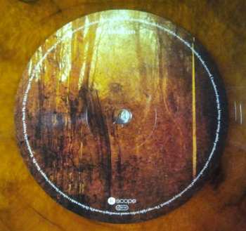 LP Blackfield: Blackfield CLR