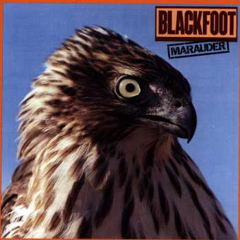 Album Blackfoot: Marauder