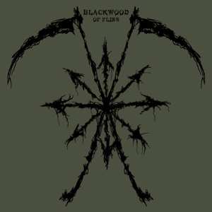 Album Blackwood: Of Flies