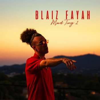Album Blaiz Fayah: Mad Ting 2