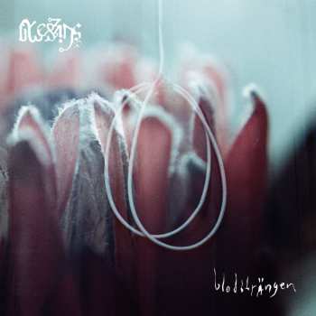 Album Blessings: Blodsträngen