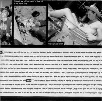 CD Blink-182: Dude Ranch