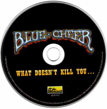 CD Blue Cheer: What Doesn't Kill You... 41725