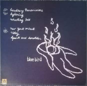 LP Bluebird: Bluebird 363153
