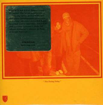 Album Laraaji: FRKWYS Vol. 8