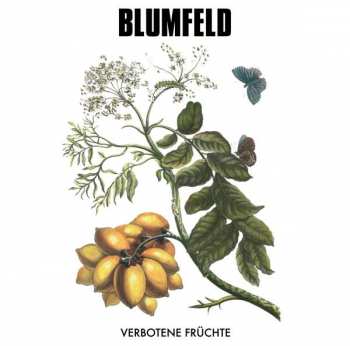 Album Blumfeld: Verbotene Früchte