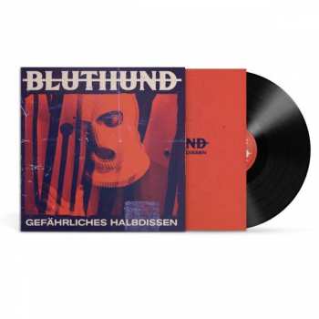 Album Bluthund: Gefährliches Halbdissen