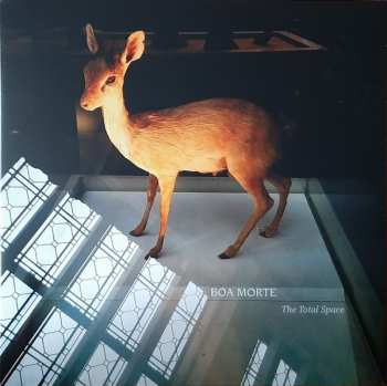 Album Boa Morte: The Total Space