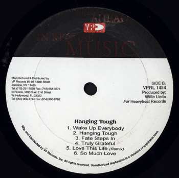 LP Bob Andy: Hanging Tough 369162