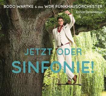 Album Bodo Wartke: Jetzt Oder Sinfonie!