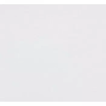 Bonez MC: Hollywood Uncut