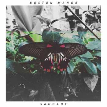 Album Boston Manor: Saudade