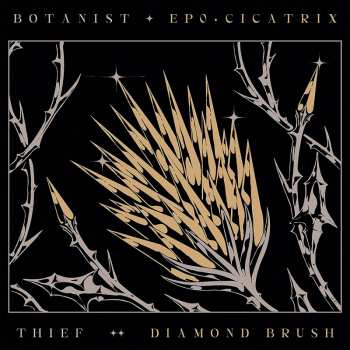 Album Botanist: EP0: Cicatrix / Diamond Brush