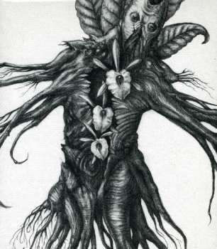 Album Botanist: IV: Mandragora