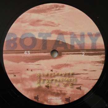 LP Botany: Feeling Today EP 90449
