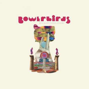 Album Bowerbirds: becalmyounglovers