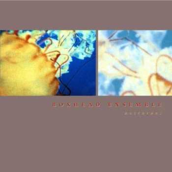 Album Boxhead Ensemble: Nocturnes