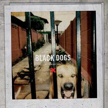 Album Boys Night Out: Black Dogs